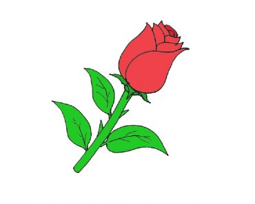 Simple Rose Drawing Step by Step for Beginners