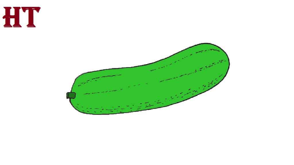 Cucumber drawing easy for beginners