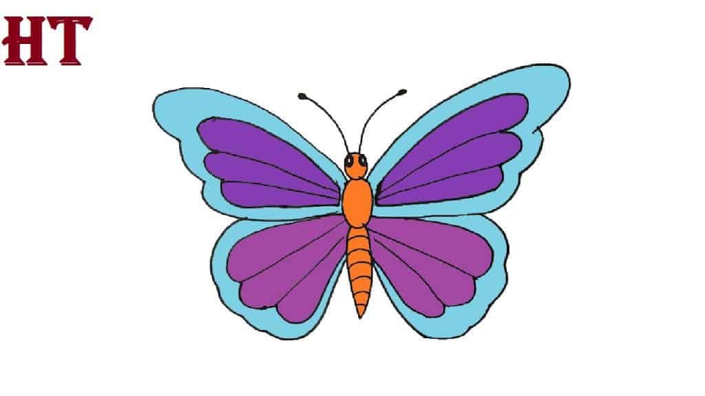 Easy Butterfly Drawing