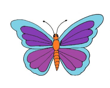 Butterfly to draw Step by step || How to draw a Butterfly easy for Beginners