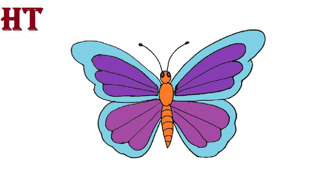 How To Draw A Butterfly - Easy - Step By Step Drawing Tutorial-saigonsouth.com.vn