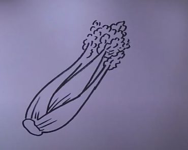 How to Draw Celery Step by Step