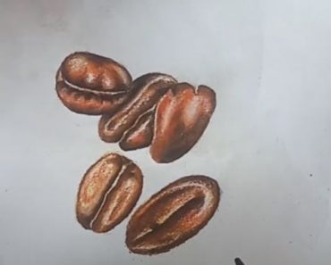 How to Draw Coffee Beans Step by Step