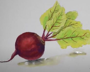 How to Draw a Beetroot Step by Step - Vegetables Drawing
