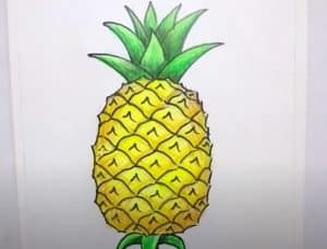 How to Draw a Pineapple Step by Step