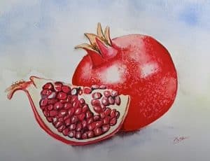 How to Draw a Pomegranate Step by Step - Fruits Drawing Tutorial