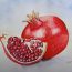 How to Draw a Pomegranate Step by Step || Fruits Drawing Tutorial