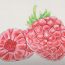 How to Draw a Raspberry Step by Step || Fruits Drawing Tutorial