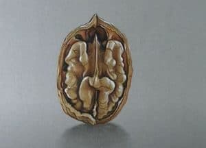 How to Draw a Walnut Step by Step - 3D Drawing art