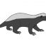 How to draw a honey badger step by step