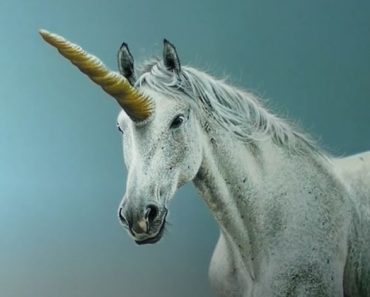 How to draw a realistic unicorn Step by Step