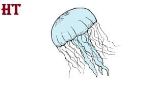Jellyfish Drawing Easy for Beginners