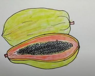 Papaya Drawing Step by Step || How to draw Fruits Easy