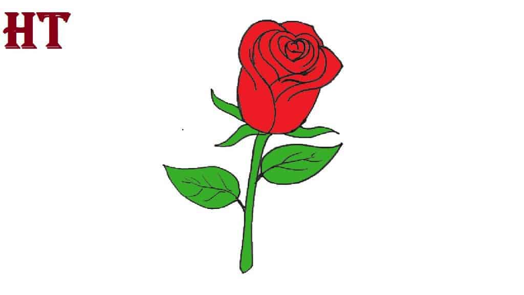 Rose flower Drawing easy for beginners