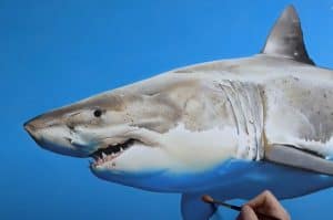 Shark Painting on canvas - 3D Art for Beginners