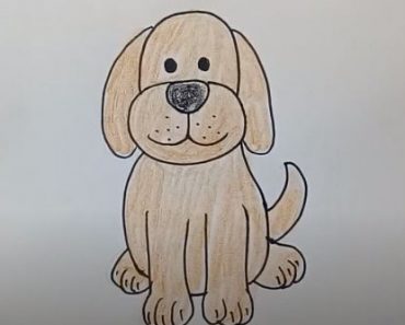 Dog Drawing Step By Step Archives How To Draw Step By Step