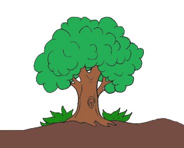 Simple Tree Drawing Step by Step || How to draw a Tree Easy
