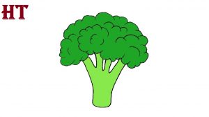 broccoli drawing EASY
