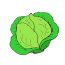 Cabbage drawing Step by Step || How to draw Vegetables easy for Beginners