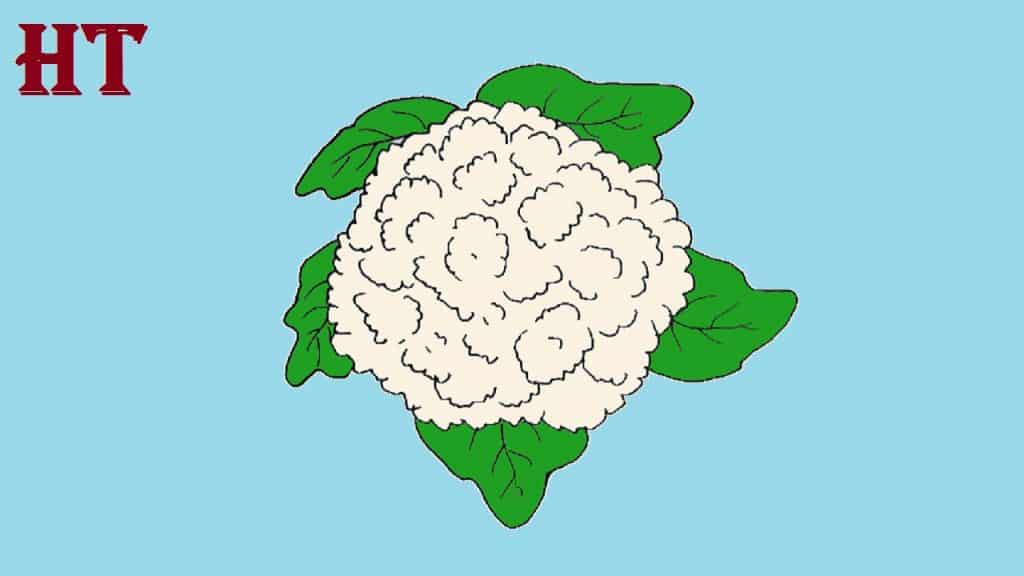 Cauliflower drawing easy Step by Step || Vegetables drawing