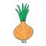 How to draw a Onion Step by Step || Vegetables Drawing Tutorial