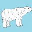 How to draw a Polar Bear Easy Step by Step