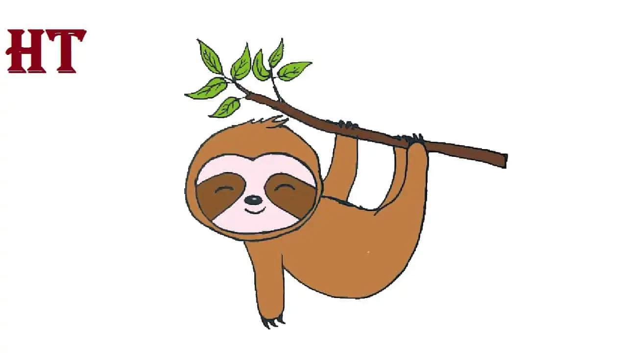 Cute sloth drawing easy for Beginners