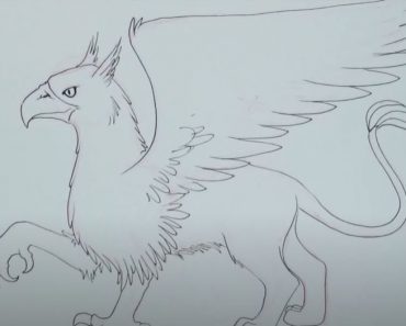 How to Draw a Hippogriff Step by Step