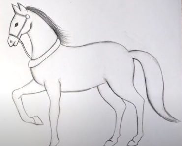 Simple horse drawing easy || How to draw a horse step by step