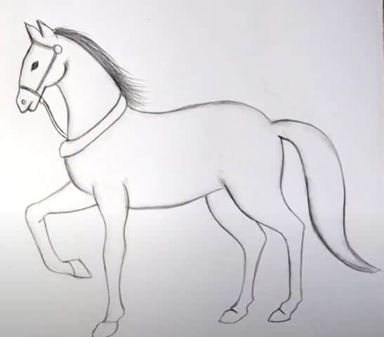 how to draw a horse easy step by step drawing ,pencil sketch drawing, -  YouTube