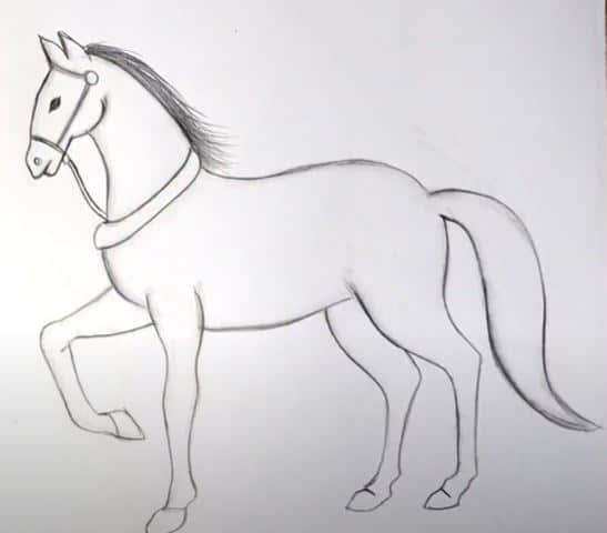 Horse drawing Art & Collectibles Drawing & Illustration brainchild.net