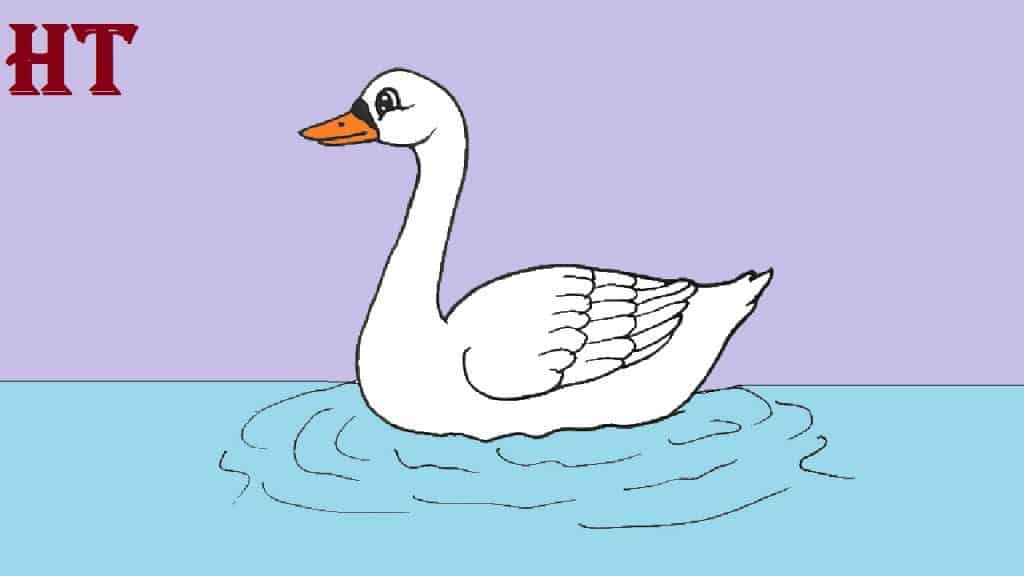 Swan Drawing easy for beginners