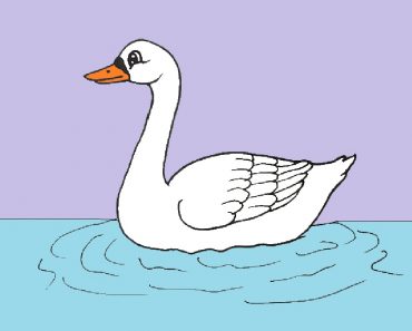 Swan Drawing cute and easy step by step