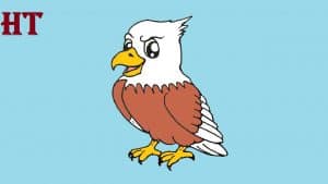 cute eagle drawing easy for beginners