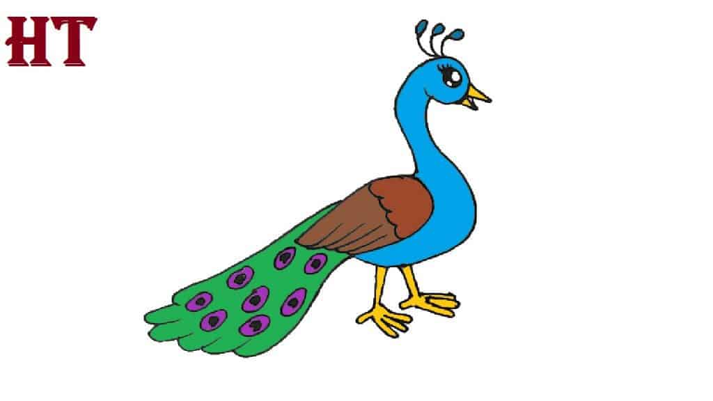 drawing of peacock