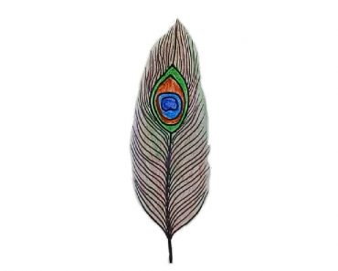 How to draw a peacock feather Step by Step