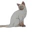 Siamese cat drawing step by step || How to draw a simple cat for beginners