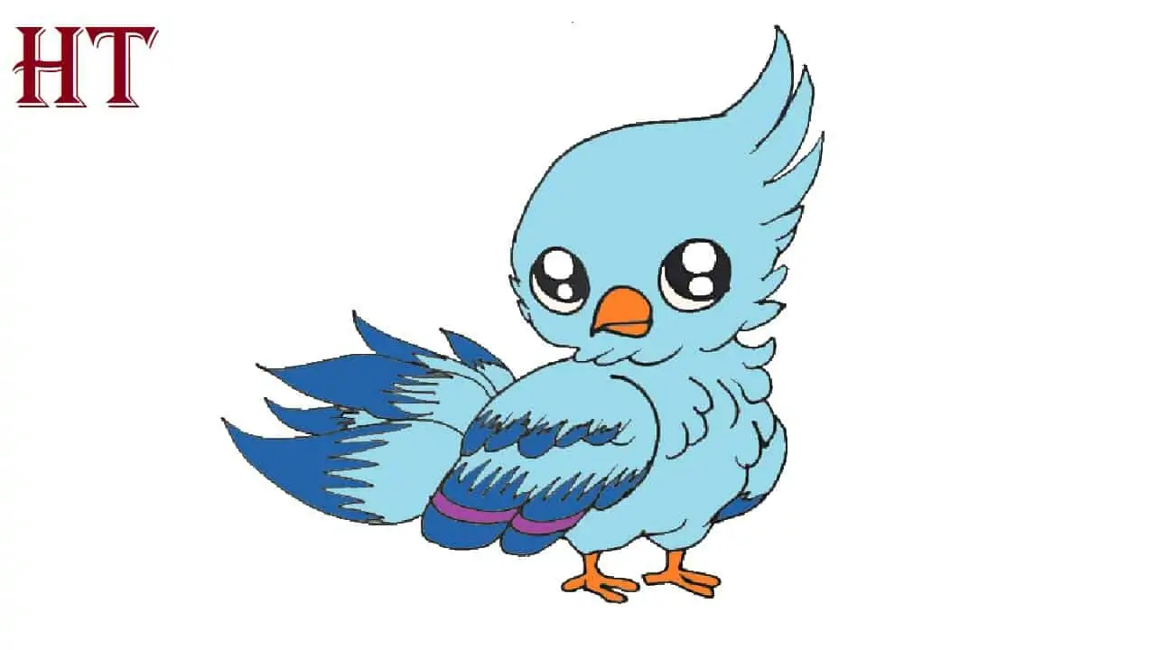 Cute bird drawing easy for kids