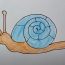 How to draw a snail for kids