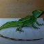 How to Draw a Basilisk Lizard || 3D animals Drawing