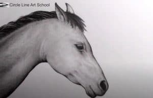 How to Draw a Horse Head Step by Step