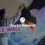 Superb painting on the wall by Girl – She Painted A GIANT Fantasy Mural