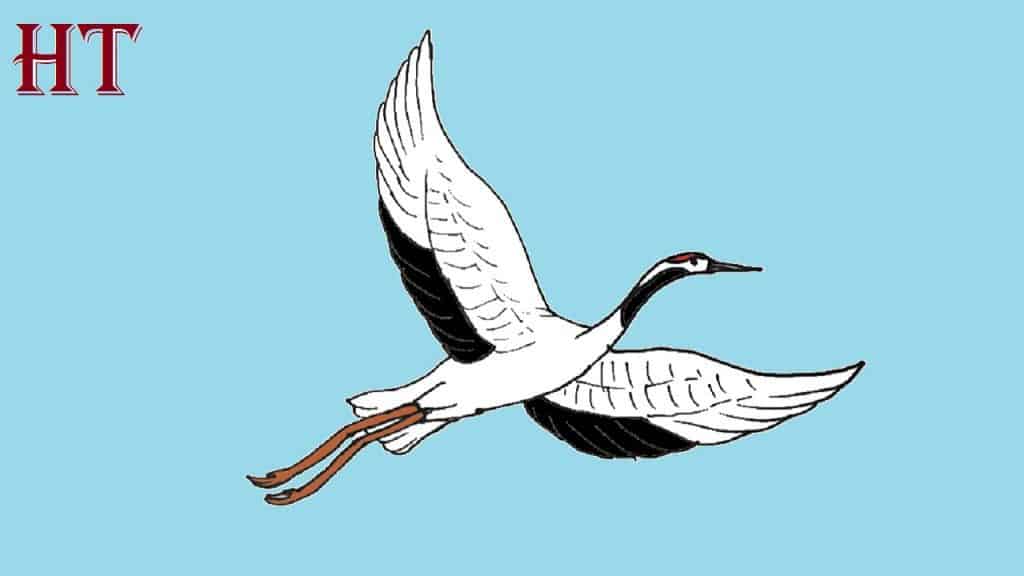 How to Draw a Crane