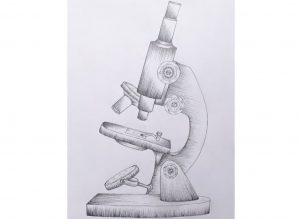 How to Draw a Microscope Step by Step