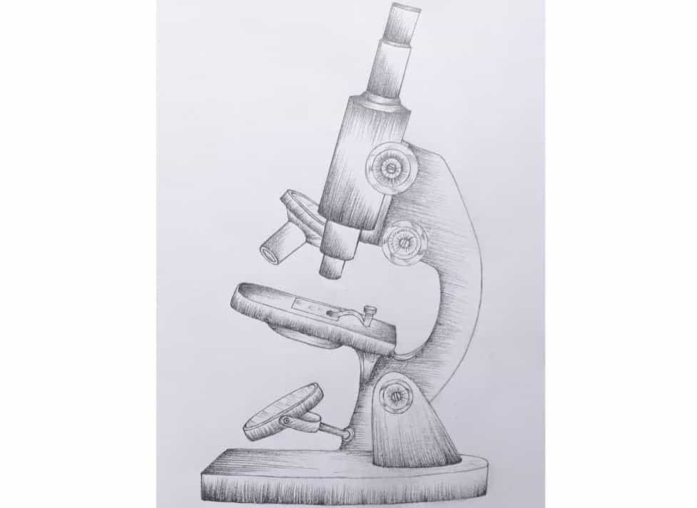 cell drawing microscope - binocular compound microscope drawing png image transparent png free download on seekpng on how to draw what you see in a microscope