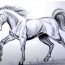 How to draw a Horse with Pencil