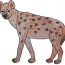 Hyena Drawing Easy Step by Step || Wild animals drawing