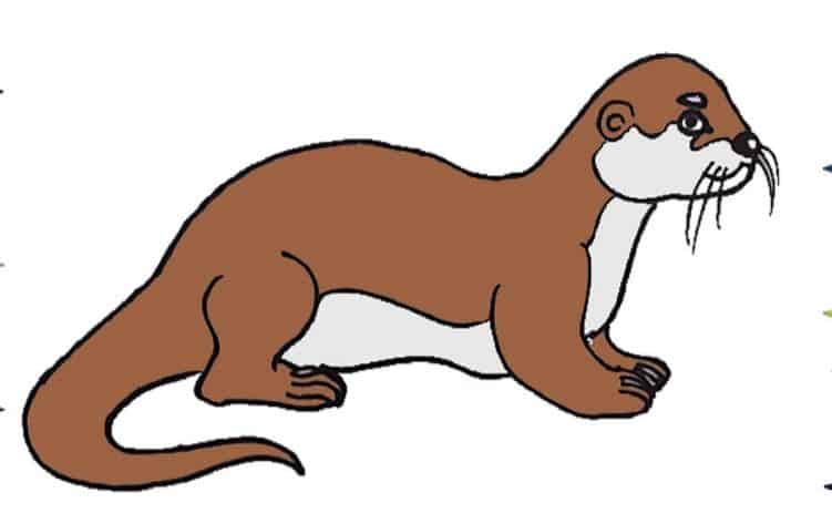 Otter Drawing easy Step by Step || How to draw an Otter