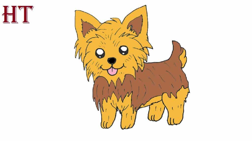 How to draw a Yorkie Step by Step Puppy Drawing Easy