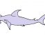 How to draw a Hammerhead shark